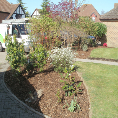 Newly weeded bed and freshly cut lawn